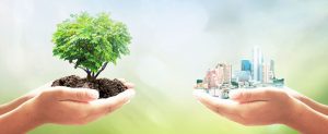 Workshop Valutazioni Ambientali: questionario della Regione Campania