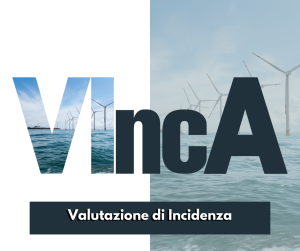 Comunità Montana Alta Irpinia: Proroga termini Avviso short list esperti in Valutazione di Incidenza (VIncA) – scadenza 1° settembre 2026, ore 12:00