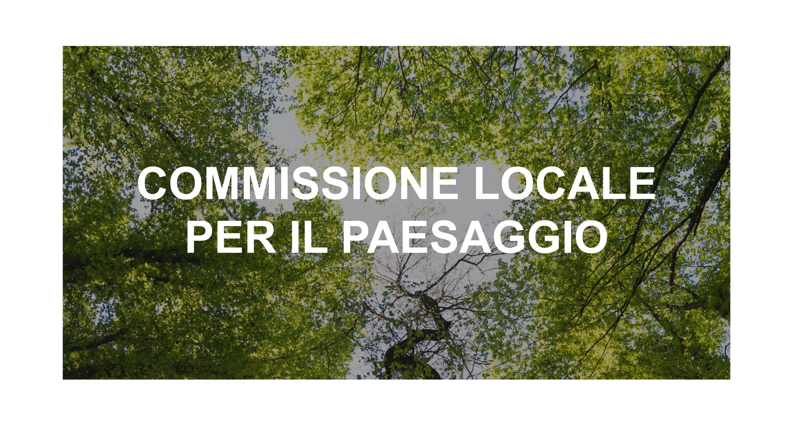 Comune di Morcone: Avviso pubblico per la Commissione Locale per il Paesaggio (scadenza: 11 ottobre 2026)